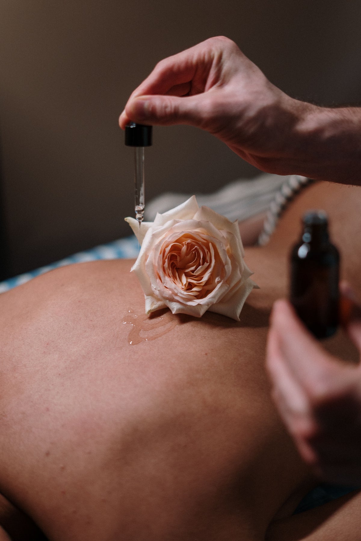 Your luxury
<em>routine, elevated</em>
